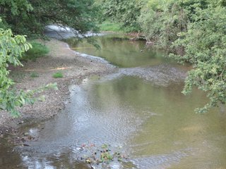 Property photo 28 - LAND AUCTION - 130+/- ACRES OFFERED IN 3 TRACTS IN WAYNE COUNTY, INDIANA