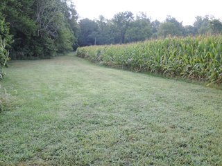 Property photo 15 - LAND AUCTION - 130+/- ACRES OFFERED IN 3 TRACTS IN WAYNE COUNTY, INDIANA
