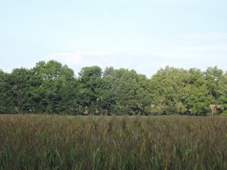 Property photo 11 - LAND AUCTION - 130+/- ACRES OFFERED IN 3 TRACTS IN WAYNE COUNTY, INDIANA
