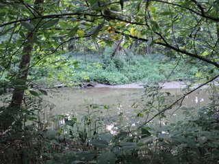 Property photo 23 - LAND AUCTION - 130+/- ACRES OFFERED IN 3 TRACTS IN WAYNE COUNTY, INDIANA