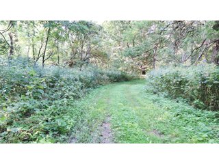 Property photo 21 - LAND AUCTION - 130+/- ACRES OFFERED IN 3 TRACTS IN WAYNE COUNTY, INDIANA