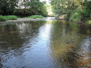 Property photo 26 - LAND AUCTION - 130+/- ACRES OFFERED IN 3 TRACTS IN WAYNE COUNTY, INDIANA