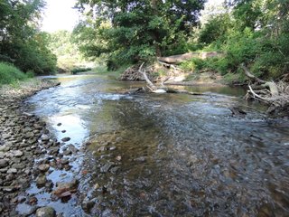Property photo 27 - LAND AUCTION - 130+/- ACRES OFFERED IN 3 TRACTS IN WAYNE COUNTY, INDIANA