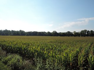 Property photo 8 - LAND AUCTION - 130+/- ACRES OFFERED IN 3 TRACTS IN WAYNE COUNTY, INDIANA