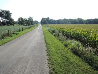 Property photo 9 - LAND AUCTION - 130+/- ACRES OFFERED IN 3 TRACTS IN WAYNE COUNTY, INDIANA