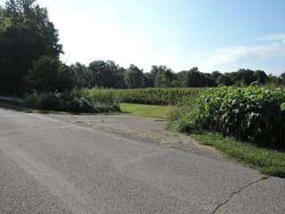 Property photo 12 - LAND AUCTION - 130+/- ACRES OFFERED IN 3 TRACTS IN WAYNE COUNTY, INDIANA