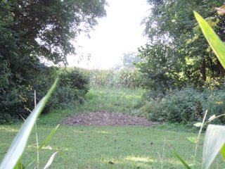 Property photo 20 - LAND AUCTION - 130+/- ACRES OFFERED IN 3 TRACTS IN WAYNE COUNTY, INDIANA
