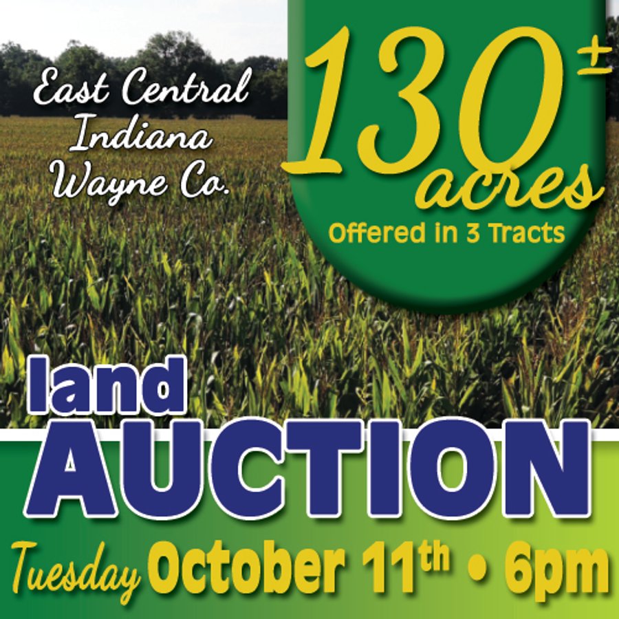 LAND AUCTION - 130+/- ACRES OFFERED IN 3 TRACTS IN WAYNE COUNTY, INDIANA