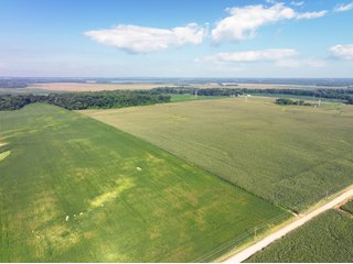 Property photo 2 - LAND AUCTION - 1,694+/- ACRES OFFERED IN 15 TRACTS IN KNOX COUNTY, INDIANA