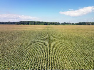 Tract 2 - LAND AUCTION - 1,694+/- ACRES OFFERED IN 15 TRACTS IN KNOX COUNTY, INDIANA