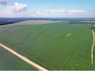 Property photo 5 - LAND AUCTION - 1,694+/- ACRES OFFERED IN 15 TRACTS IN KNOX COUNTY, INDIANA
