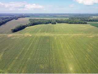 Property photo 6 - LAND AUCTION - 1,694+/- ACRES OFFERED IN 15 TRACTS IN KNOX COUNTY, INDIANA