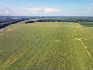 Property photo 7 - LAND AUCTION - 1,694+/- ACRES OFFERED IN 15 TRACTS IN KNOX COUNTY, INDIANA