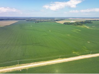 Tracts 1-4 - LAND AUCTION - 1,694+/- ACRES OFFERED IN 15 TRACTS IN KNOX COUNTY, INDIANA