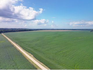 Tract 6 - LAND AUCTION - 1,694+/- ACRES OFFERED IN 15 TRACTS IN KNOX COUNTY, INDIANA