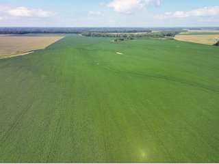 Property photo 10 - LAND AUCTION - 1,694+/- ACRES OFFERED IN 15 TRACTS IN KNOX COUNTY, INDIANA