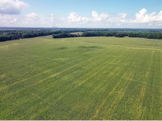 Property photo 12 - LAND AUCTION - 1,694+/- ACRES OFFERED IN 15 TRACTS IN KNOX COUNTY, INDIANA