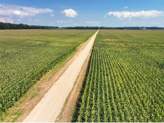 Property photo 14 - LAND AUCTION - 1,694+/- ACRES OFFERED IN 15 TRACTS IN KNOX COUNTY, INDIANA