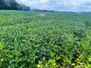 Property photo 17 - LAND AUCTION - 1,694+/- ACRES OFFERED IN 15 TRACTS IN KNOX COUNTY, INDIANA