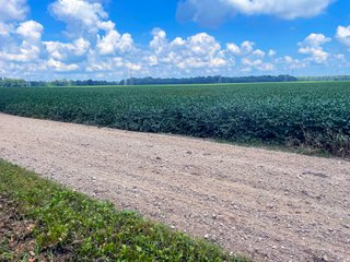 Property photo 24 - LAND AUCTION - 1,694+/- ACRES OFFERED IN 15 TRACTS IN KNOX COUNTY, INDIANA