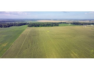Property photo 25 - LAND AUCTION - 1,694+/- ACRES OFFERED IN 15 TRACTS IN KNOX COUNTY, INDIANA