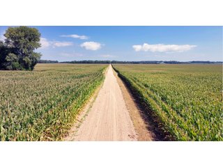 Tracts 8 & 10 - LAND AUCTION - 1,694+/- ACRES OFFERED IN 15 TRACTS IN KNOX COUNTY, INDIANA