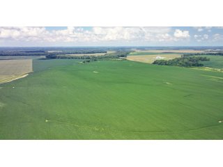Property photo 28 - LAND AUCTION - 1,694+/- ACRES OFFERED IN 15 TRACTS IN KNOX COUNTY, INDIANA