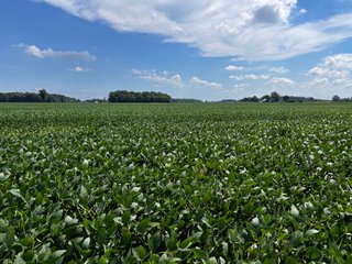 Property photo 26 - LAND AUCTION - 202+/- ACRES OFFERED IN 11 TRACTS IN MARSHALL COUNTY, INDIANA