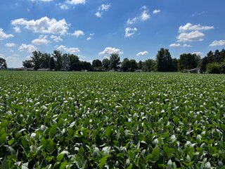 Property photo 27 - LAND AUCTION - 202+/- ACRES OFFERED IN 11 TRACTS IN MARSHALL COUNTY, INDIANA