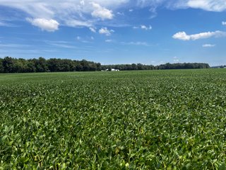 Property photo 29 - LAND AUCTION - 202+/- ACRES OFFERED IN 11 TRACTS IN MARSHALL COUNTY, INDIANA