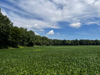 Property photo 30 - LAND AUCTION - 202+/- ACRES OFFERED IN 11 TRACTS IN MARSHALL COUNTY, INDIANA