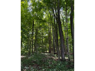 Property photo 51 - LAND AUCTION - 202+/- ACRES OFFERED IN 11 TRACTS IN MARSHALL COUNTY, INDIANA