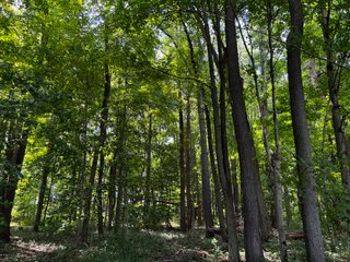 Property photo 52 - LAND AUCTION - 202+/- ACRES OFFERED IN 11 TRACTS IN MARSHALL COUNTY, INDIANA