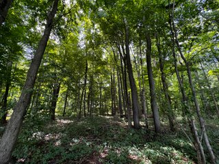 Property photo 53 - LAND AUCTION - 202+/- ACRES OFFERED IN 11 TRACTS IN MARSHALL COUNTY, INDIANA