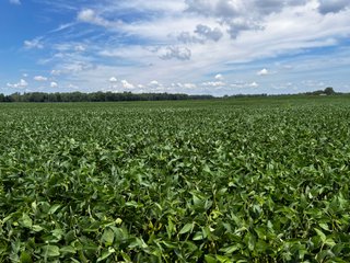 Property photo 31 - LAND AUCTION - 202+/- ACRES OFFERED IN 11 TRACTS IN MARSHALL COUNTY, INDIANA