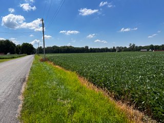 Property photo 35 - LAND AUCTION - 202+/- ACRES OFFERED IN 11 TRACTS IN MARSHALL COUNTY, INDIANA