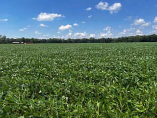 Property photo 34 - LAND AUCTION - 202+/- ACRES OFFERED IN 11 TRACTS IN MARSHALL COUNTY, INDIANA