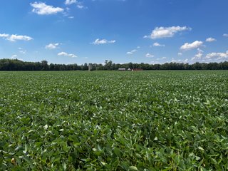 Property photo 36 - LAND AUCTION - 202+/- ACRES OFFERED IN 11 TRACTS IN MARSHALL COUNTY, INDIANA