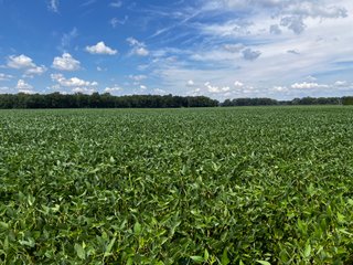 Property photo 37 - LAND AUCTION - 202+/- ACRES OFFERED IN 11 TRACTS IN MARSHALL COUNTY, INDIANA