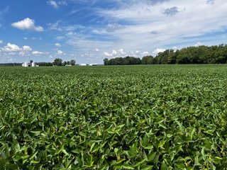 Property photo 40 - LAND AUCTION - 202+/- ACRES OFFERED IN 11 TRACTS IN MARSHALL COUNTY, INDIANA