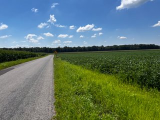 Property photo 41 - LAND AUCTION - 202+/- ACRES OFFERED IN 11 TRACTS IN MARSHALL COUNTY, INDIANA