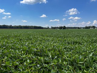 Property photo 42 - LAND AUCTION - 202+/- ACRES OFFERED IN 11 TRACTS IN MARSHALL COUNTY, INDIANA