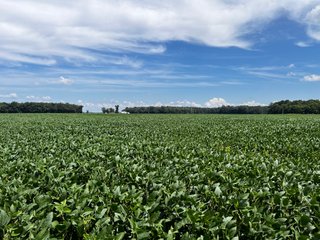Property photo 44 - LAND AUCTION - 202+/- ACRES OFFERED IN 11 TRACTS IN MARSHALL COUNTY, INDIANA