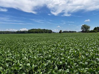 Property photo 46 - LAND AUCTION - 202+/- ACRES OFFERED IN 11 TRACTS IN MARSHALL COUNTY, INDIANA