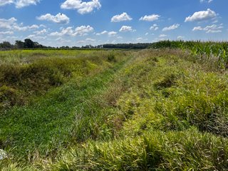 Property photo 47 - LAND AUCTION - 202+/- ACRES OFFERED IN 11 TRACTS IN MARSHALL COUNTY, INDIANA