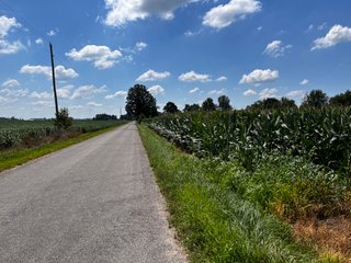 Property photo 49 - LAND AUCTION - 202+/- ACRES OFFERED IN 11 TRACTS IN MARSHALL COUNTY, INDIANA