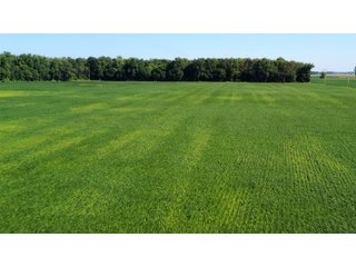 Property photo 5 - LAND AUCTION - 202+/- ACRES OFFERED IN 11 TRACTS IN MARSHALL COUNTY, INDIANA