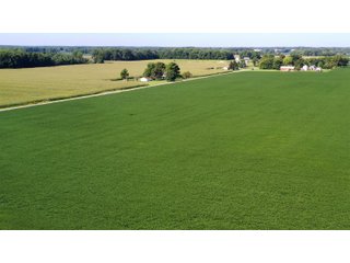 Property photo 2 - LAND AUCTION - 202+/- ACRES OFFERED IN 11 TRACTS IN MARSHALL COUNTY, INDIANA