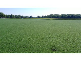 Property photo 3 - LAND AUCTION - 202+/- ACRES OFFERED IN 11 TRACTS IN MARSHALL COUNTY, INDIANA