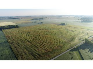 TRACT 1 - LAND AUCTION - 160 +/- ACRES CROPLAND & 2-STORY FARMHOUSE OFFERED IN 3 TRACTS IN RUSH COUNTY, INDIANA